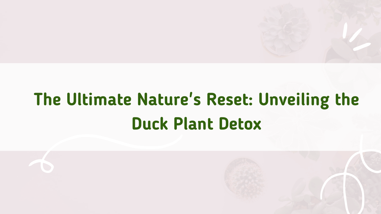 The Duck Flower Detox - Does it really work