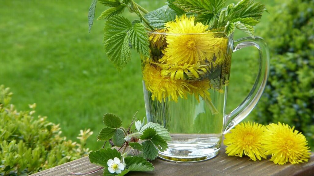 detox dandelion tea